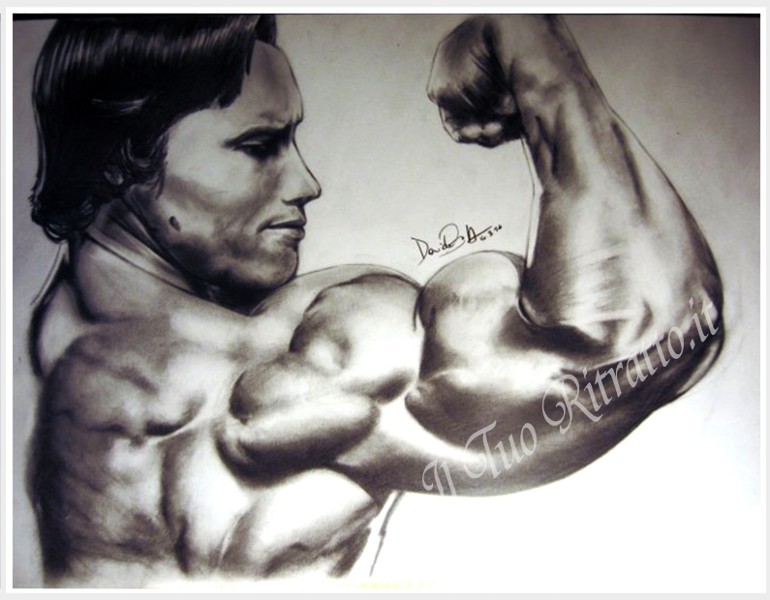 Ritratto arnold schwarzenegger